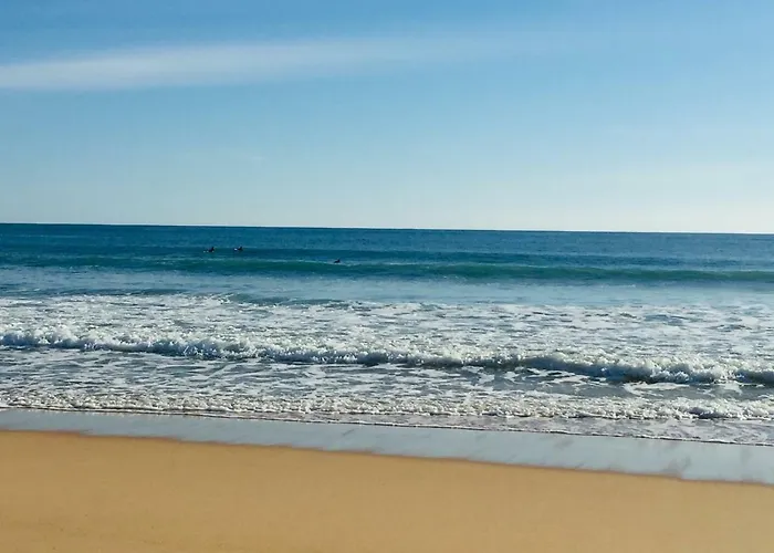 Alto Mar * 페니케