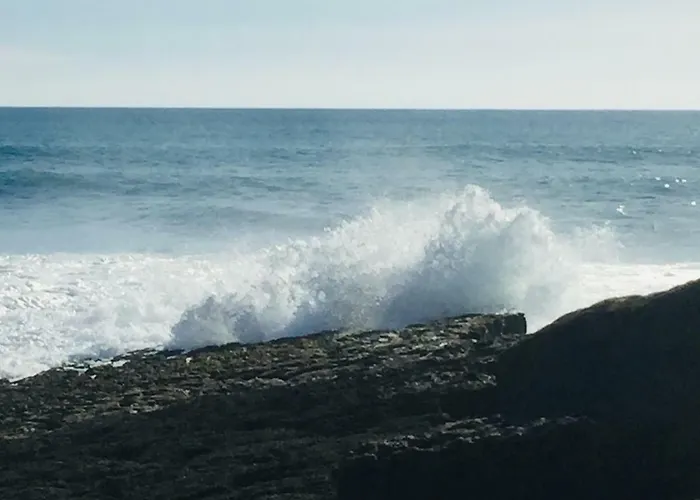 Alto Mar Lejlighed Peniche